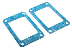Pair of Exhaust Riser Gaskets