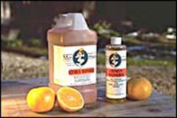 Citrus Wonder - 1 Gallon