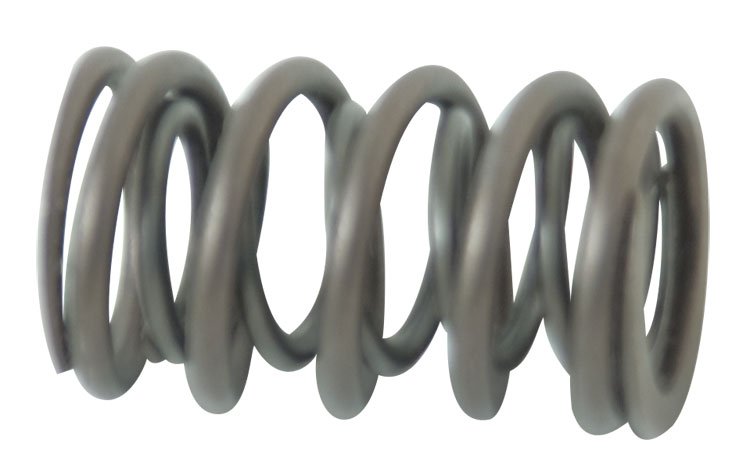 Xtreme Duty Valve Springs