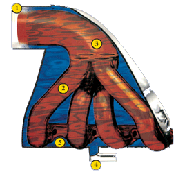 manifold drawing