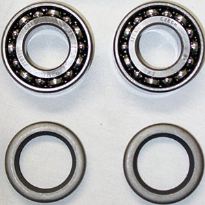 Rear Bearing And Seal Kit (Double Row) Race