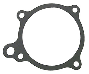 Water Pump Gasket