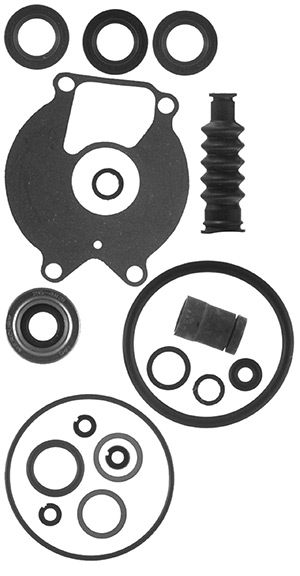 Lower Unit Seal Kit