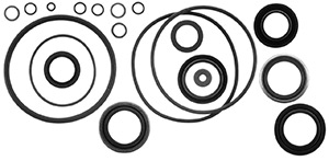 Lower Unit Seal Kit