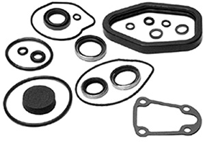 Lower Unit Seal Kit