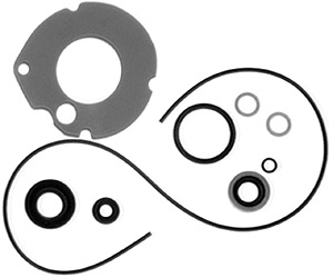 Lower Unit Seal Kit