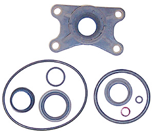 Lower Unit Seal Kit