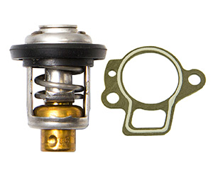 Thermostat Kit