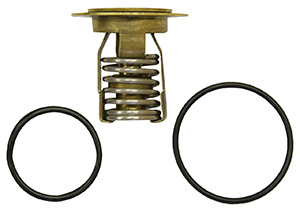 Thermostat Kit