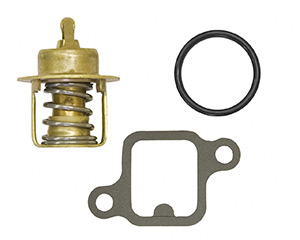 Thermostat Kit