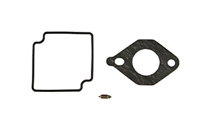 Carburetor Kit