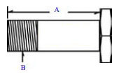 Clevis Bolt A 1.600” Long, B 1/2”-20 Thread, Polished 304 SS