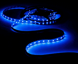 Dual Color Underwater LED Light