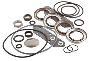 Upper Seal Kit Replaces OE#  0981799