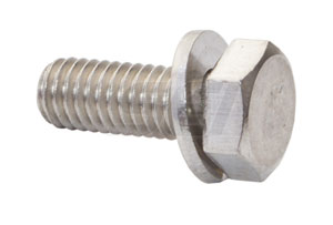 Screw Replaces OE#  10-824832 4