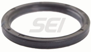 Oil Seal (Large)