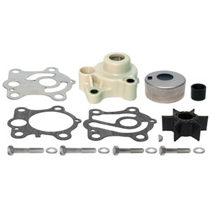 Complete Water Pump Kit