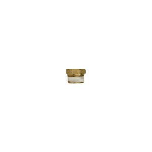 Brass Plug 1/4"