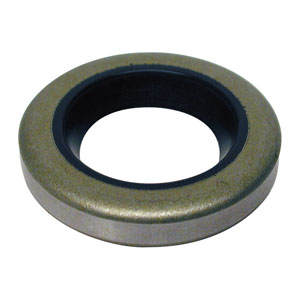 Oil Seal