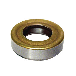 Oil Seal