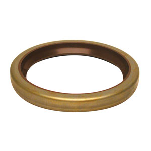 Oil Seal