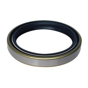 Oil Seal