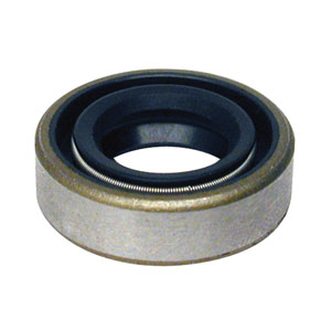 Oil Seal