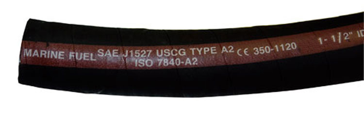 100-350-1124.jpg