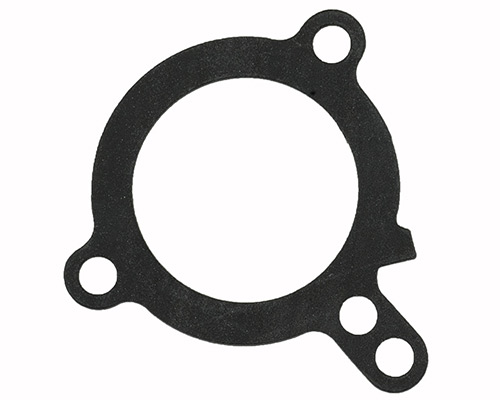 Gasket, Thermostat