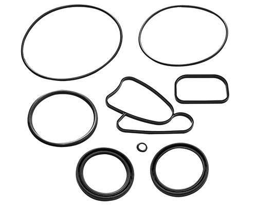 DPS-A Lower Unit Seal Kit