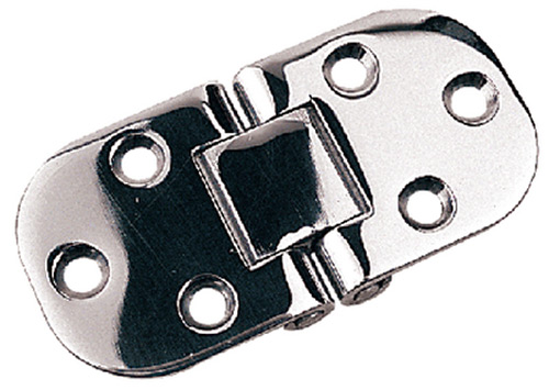 Stainless Flush 2-Pin Hinge