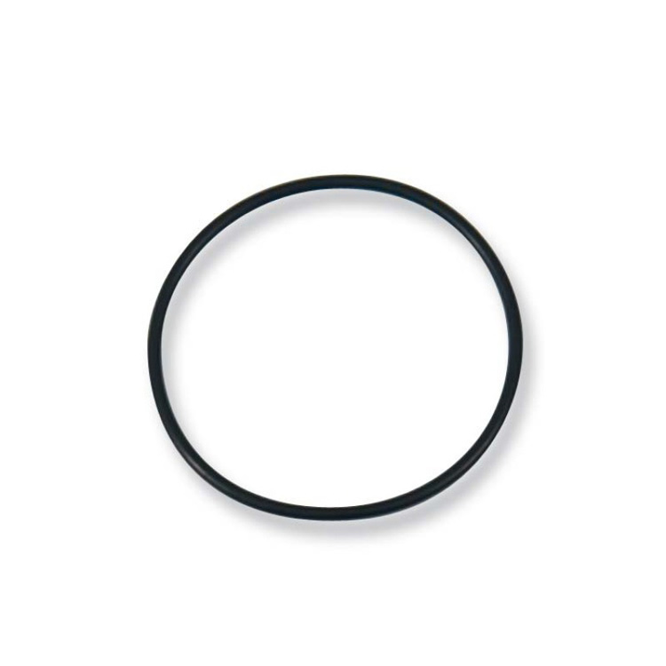 O Ring (Alignment Spacer)