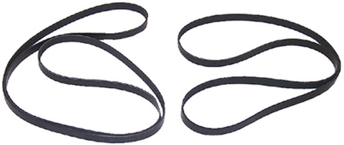 Serpentine Belt