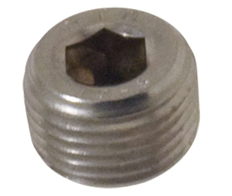 10) Plug, 1/2" NPT SS