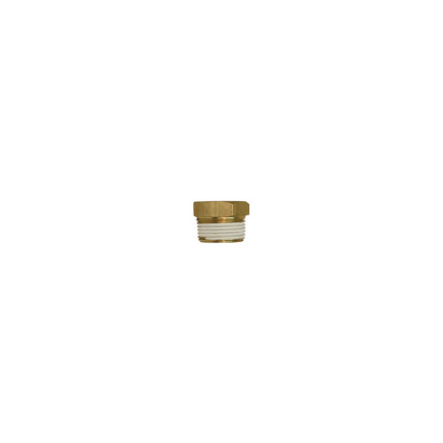 Brass Plug 1"